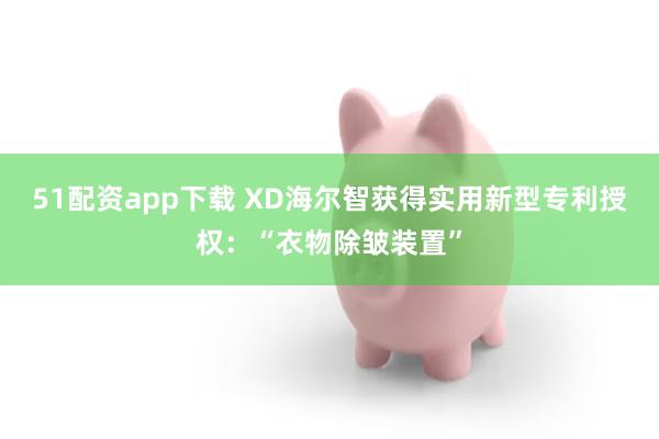 51配资app下载 XD海尔智获得实用新型专利授权：“衣物除皱装置”