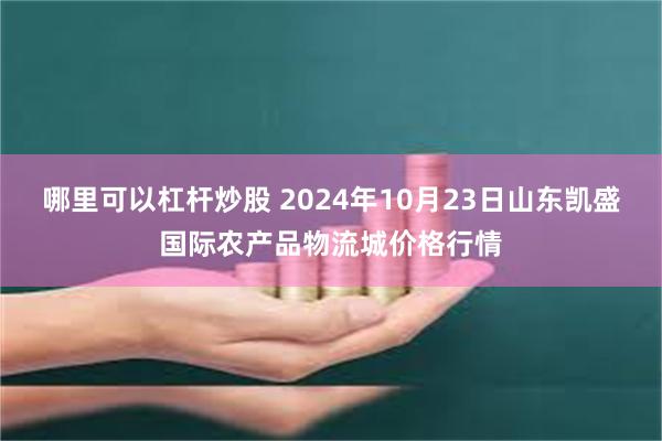 哪里可以杠杆炒股 2024年10月23日山东凯盛国际农产品物流城价格行情