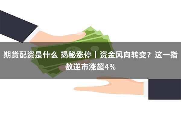 期货配资是什么 揭秘涨停丨资金风向转变？这一指数逆市涨超4%