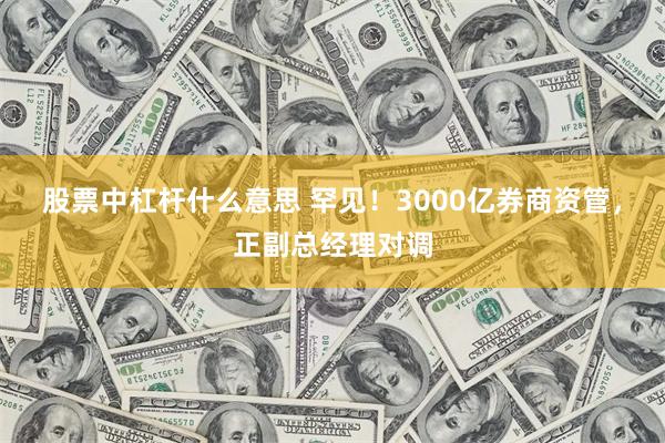 股票中杠杆什么意思 罕见！3000亿券商资管，正副总经理对调