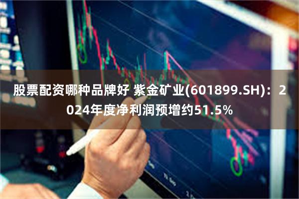 股票配资哪种品牌好 紫金矿业(601899.SH)：2024年度净利润预增约51.5%