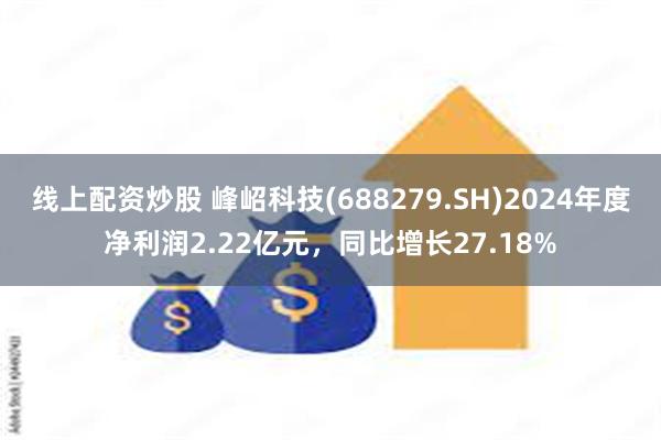 线上配资炒股 峰岹科技(688279.SH)2024年度净利润2.22亿元，同比增长27.18%